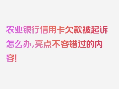 农业银行信用卡欠款被起诉怎么办，亮点不容错过的内容！