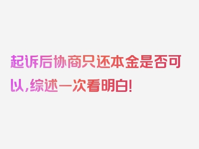 起诉后协商只还本金是否可以，综述一次看明白！