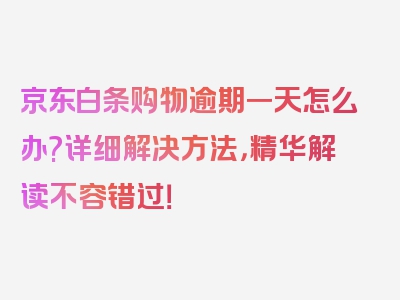 京东白条购物逾期一天怎么办?详细解决方法，精华解读不容错过！