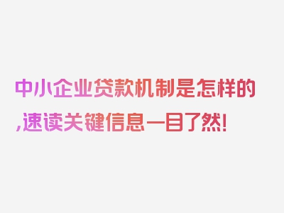 中小企业贷款机制是怎样的，速读关键信息一目了然！