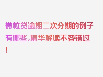 微粒贷逾期二次分期的例子有哪些，精华解读不容错过！