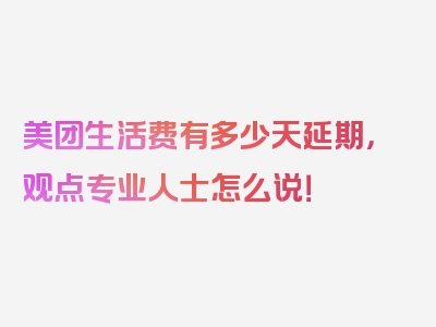 美团生活费有多少天延期，观点专业人士怎么说！