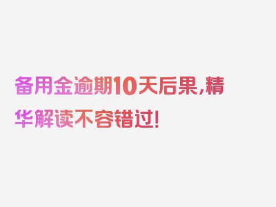 备用金逾期10天后果，精华解读不容错过！