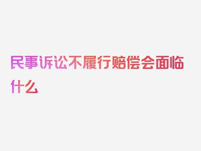 民事诉讼不履行赔偿会面临什么