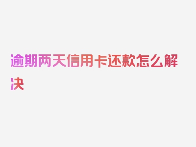 逾期两天信用卡还款怎么解决