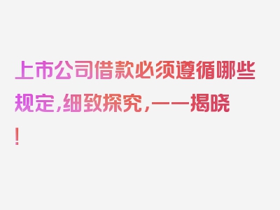 上市公司借款必须遵循哪些规定，细致探究，一一揭晓！