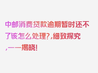 中邮消费贷款逾期暂时还不了该怎么处理?，细致探究，一一揭晓！