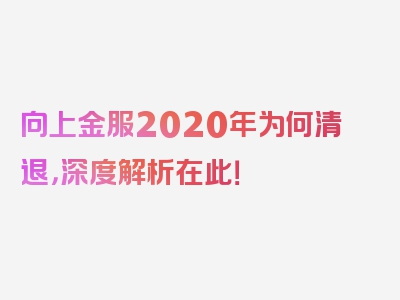 向上金服2020年为何清退，深度解析在此！