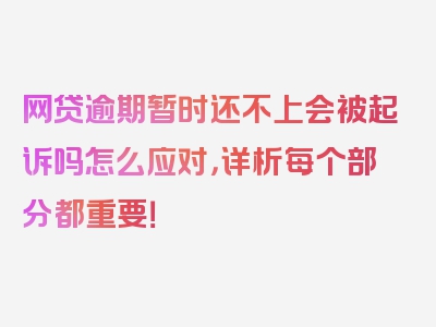 网贷逾期暂时还不上会被起诉吗怎么应对，详析每个部分都重要！