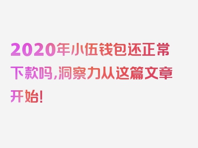 2020年小伍钱包还正常下款吗，洞察力从这篇文章开始！