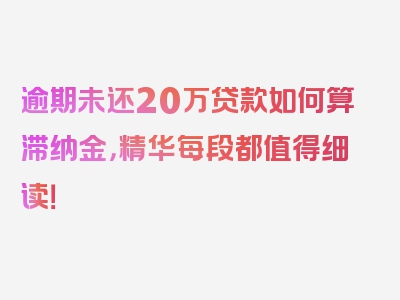 逾期未还20万贷款如何算滞纳金，精华每段都值得细读！