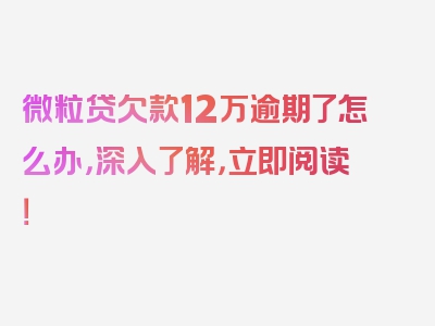 微粒贷欠款12万逾期了怎么办，深入了解，立即阅读！