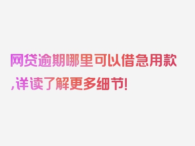 网贷逾期哪里可以借急用款，详读了解更多细节！