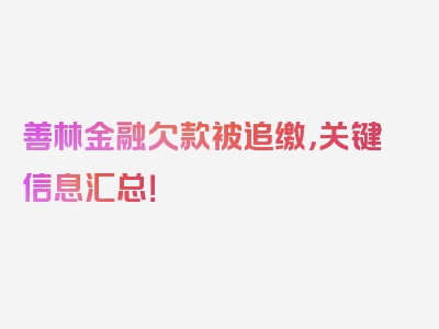 善林金融欠款被追缴，关键信息汇总！