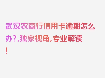 武汉农商行信用卡逾期怎么办?，独家视角，专业解读！