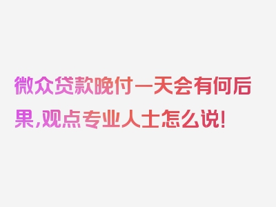 微众贷款晚付一天会有何后果，观点专业人士怎么说！