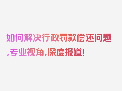 如何解决行政罚款偿还问题，专业视角，深度报道！