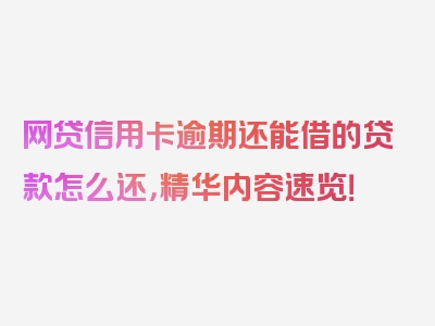 网贷信用卡逾期还能借的贷款怎么还，精华内容速览！