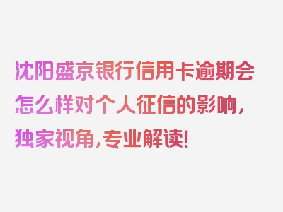 沈阳盛京银行信用卡逾期会怎么样对个人征信的影响，独家视角，专业解读！