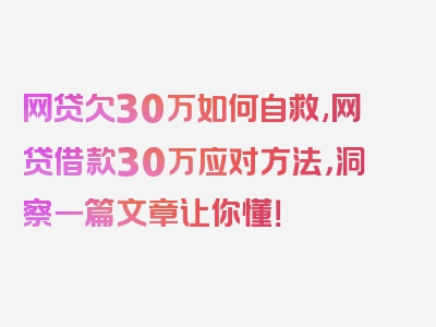 网贷欠30万如何自救,网贷借款30万应对方法，洞察一篇文章让你懂！