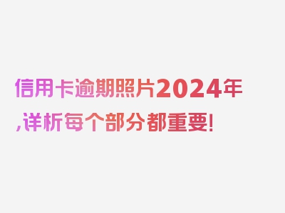 信用卡逾期照片2024年，详析每个部分都重要！