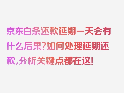 京东白条还款延期一天会有什么后果?如何处理延期还款，分析关键点都在这！