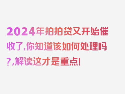 2024年拍拍贷又开始催收了,你知道该如何处理吗?，解读这才是重点！