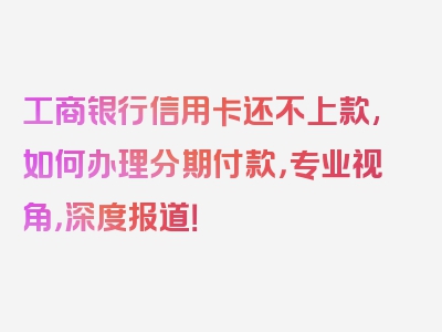 工商银行信用卡还不上款,如何办理分期付款，专业视角，深度报道！