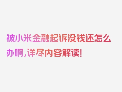 被小米金融起诉没钱还怎么办啊，详尽内容解读！