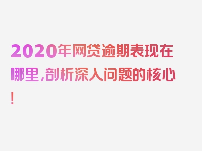 2020年网贷逾期表现在哪里，剖析深入问题的核心！