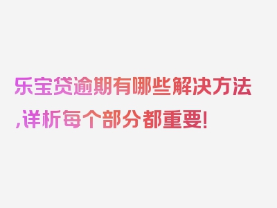 乐宝贷逾期有哪些解决方法，详析每个部分都重要！