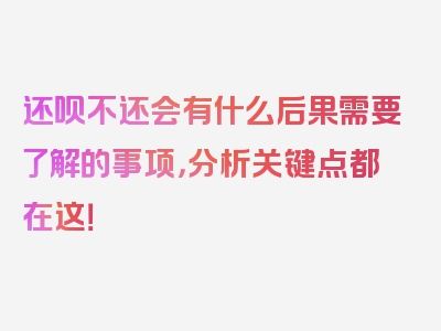 还呗不还会有什么后果需要了解的事项，分析关键点都在这！