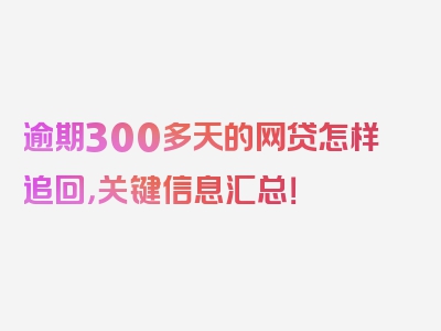 逾期300多天的网贷怎样追回，关键信息汇总！