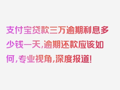 支付宝贷款三万逾期利息多少钱一天,逾期还款应该如何，专业视角，深度报道！