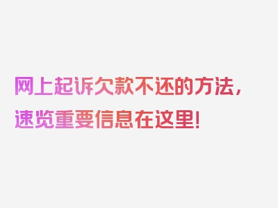 网上起诉欠款不还的方法，速览重要信息在这里！