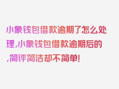 小象钱包借款逾期了怎么处理,小象钱包借款逾期后的，简评简洁却不简单！