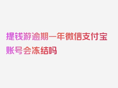 提钱游逾期一年微信支付宝账号会冻结吗