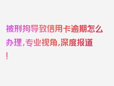 被刑拘导致信用卡逾期怎么办理，专业视角，深度报道！