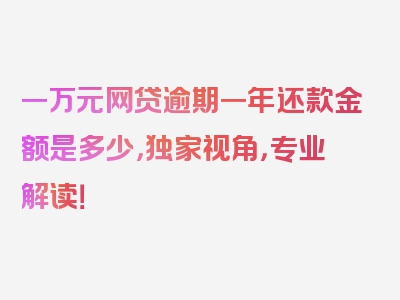 一万元网贷逾期一年还款金额是多少，独家视角，专业解读！