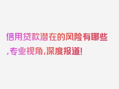 信用贷款潜在的风险有哪些，专业视角，深度报道！