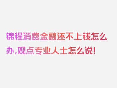 锦程消费金融还不上钱怎么办，观点专业人士怎么说！