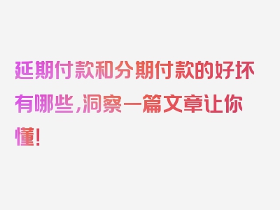 延期付款和分期付款的好坏有哪些，洞察一篇文章让你懂！