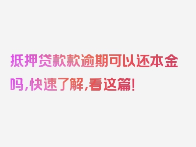 抵押贷款款逾期可以还本金吗，快速了解，看这篇！