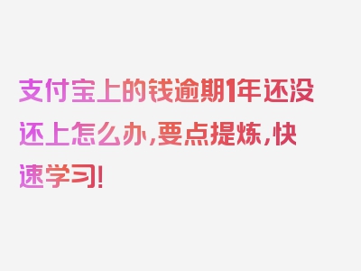 支付宝上的钱逾期1年还没还上怎么办，要点提炼，快速学习！