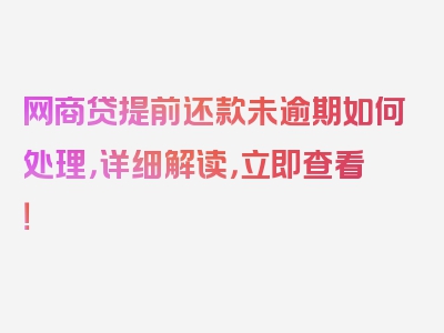 网商贷提前还款未逾期如何处理，详细解读，立即查看！