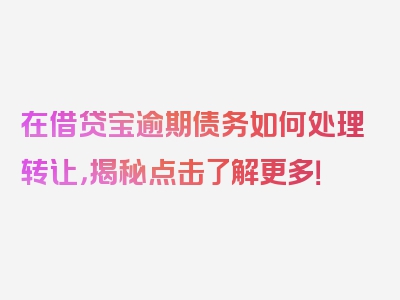 在借贷宝逾期债务如何处理转让，揭秘点击了解更多！