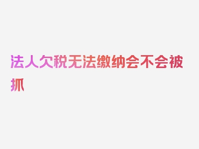 法人欠税无法缴纳会不会被抓