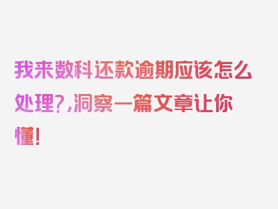 我来数科还款逾期应该怎么处理?，洞察一篇文章让你懂！