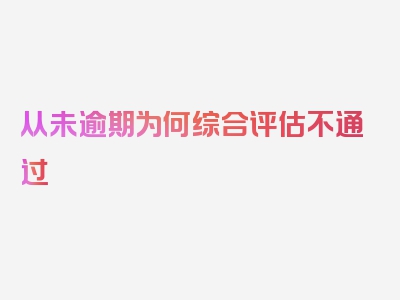 从未逾期为何综合评估不通过