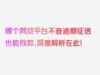 哪个网贷平台不查逾期征信也能放款，深度解析在此！